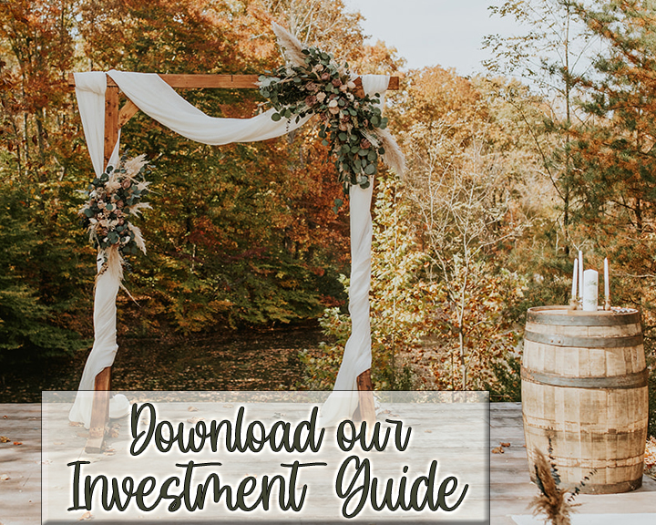 Download our Investment Guide Button